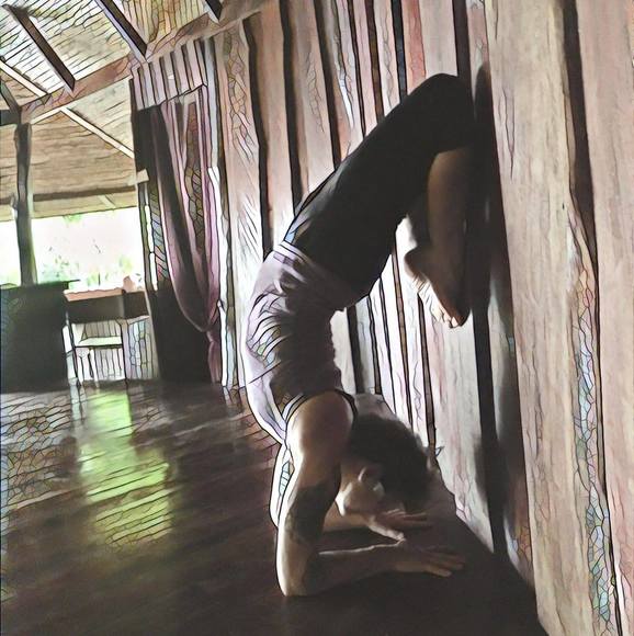 Meet your Posher, Holly - Picture 1 of 1